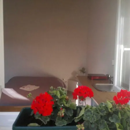 Apartment Small Stone House Luka *